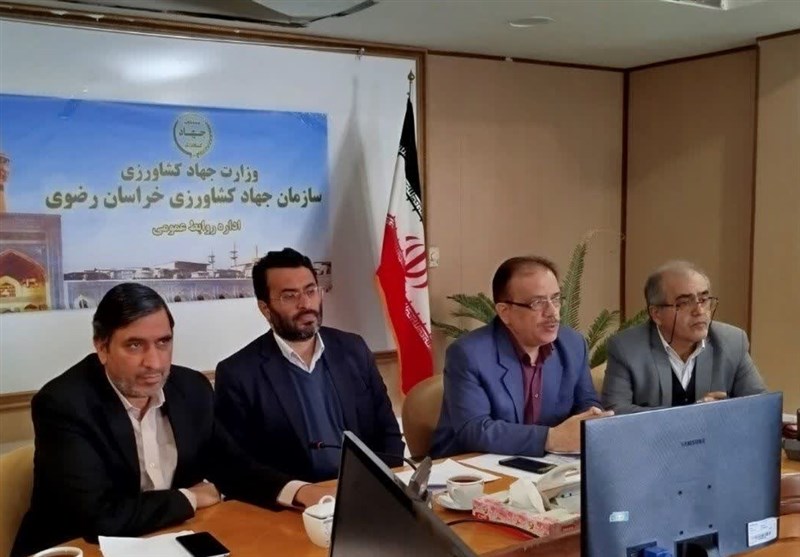 مدیرکل جهادکشاورزی خراسان رضوی: مهمترین معظل کشاورزی ایران خرده‌مالکی است