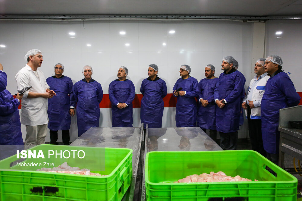 تنوع بخشی سبد مصرف با فرآوری محصولات گوشتی