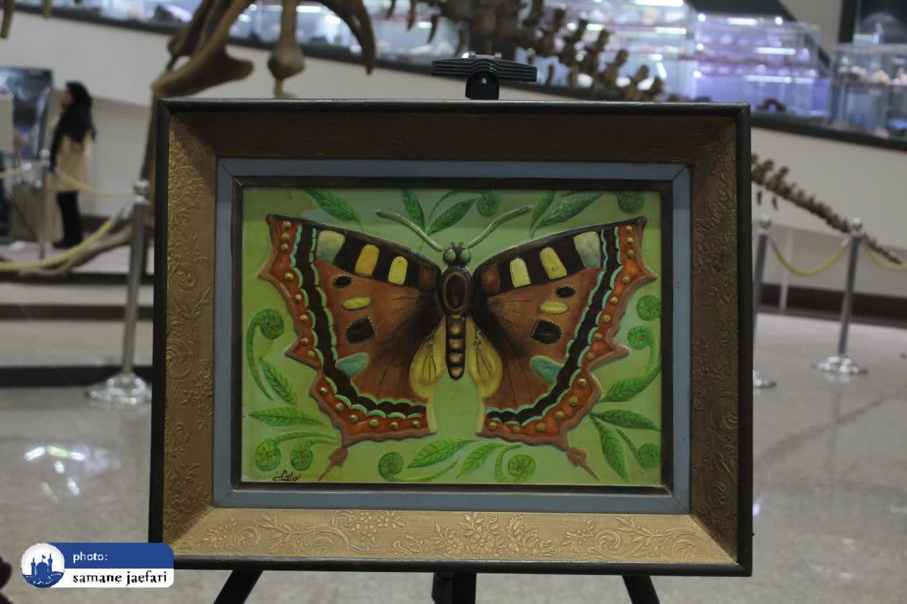 موزه زمین میزبان نقاشی موزه زمین میزبان نقاشی