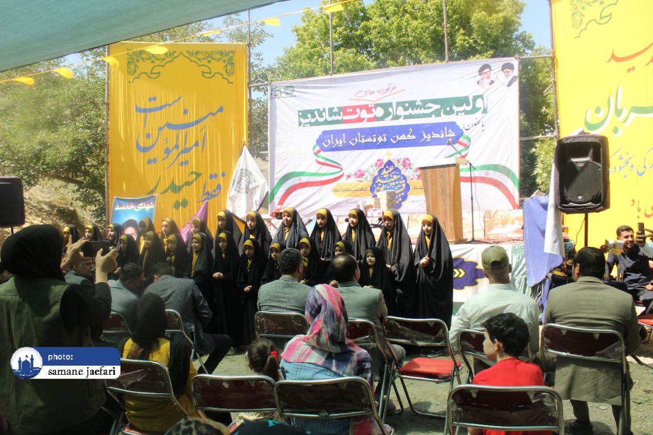 جشنواره توت شاندیز جشنواره توت شاندیز