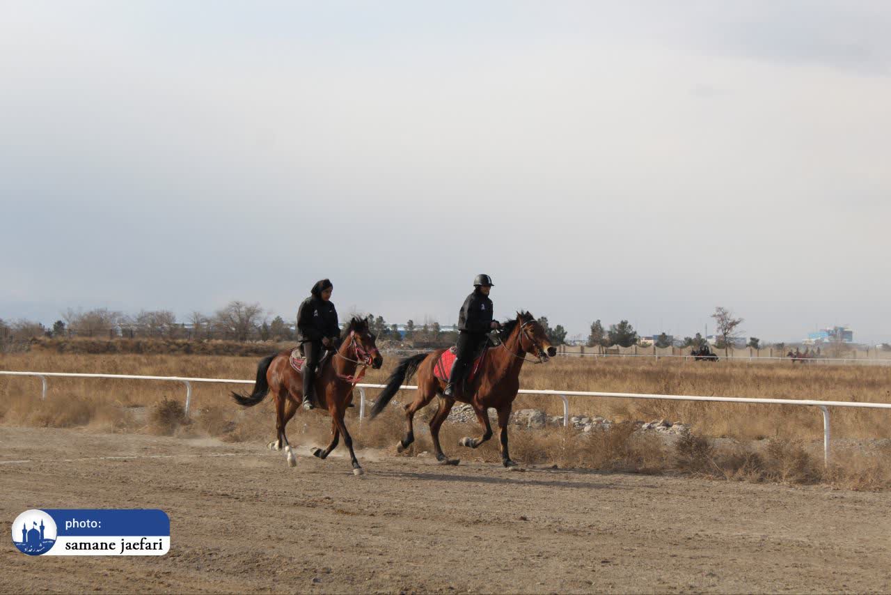 المپیاد ورزشی بانوان المپیاد ورزشی بانوان