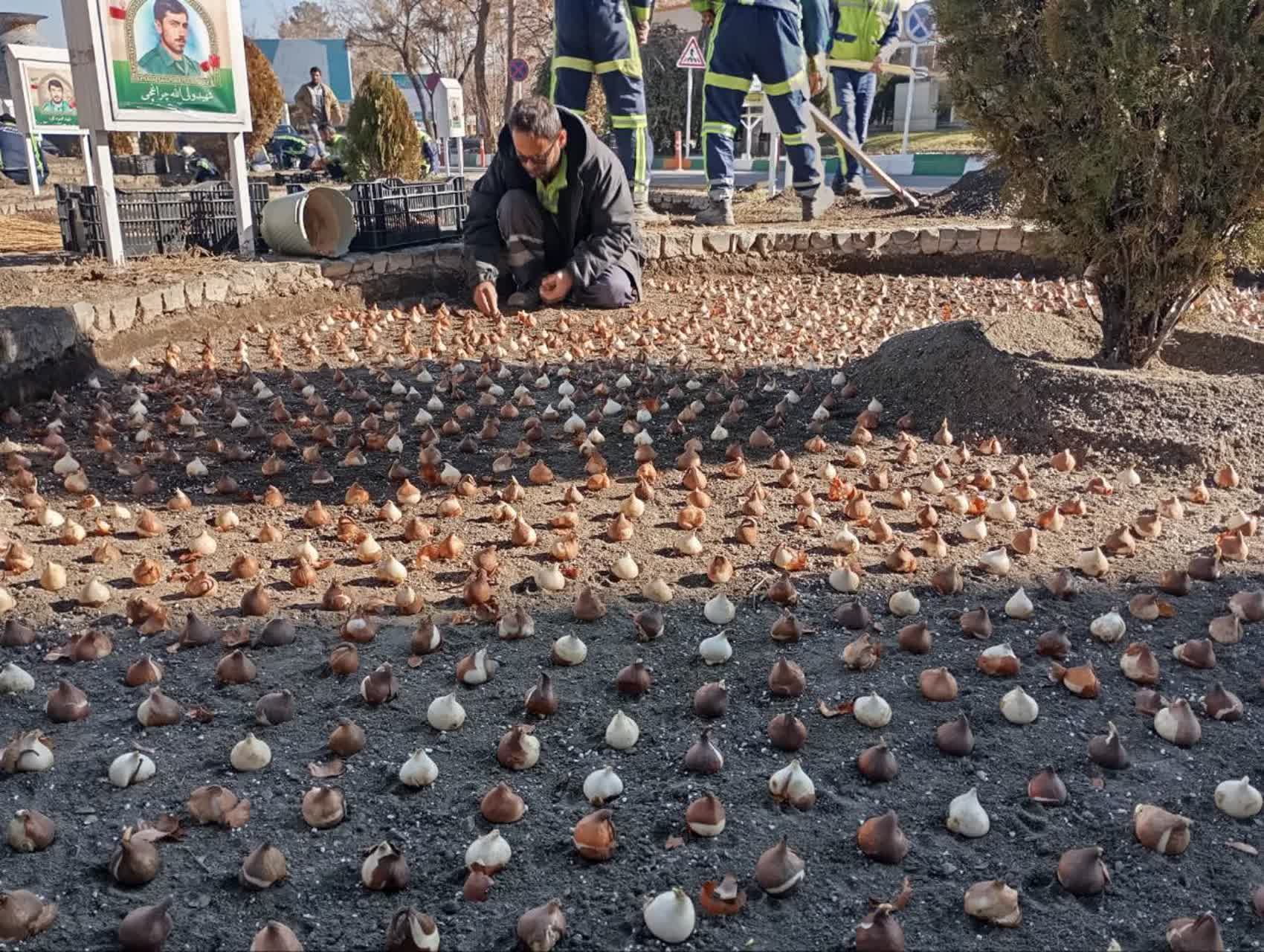 بهار و رمضان در کنار شهدا