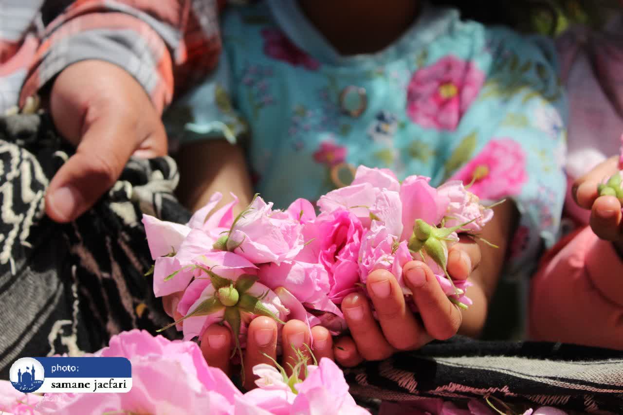 گلابگیری حکیم