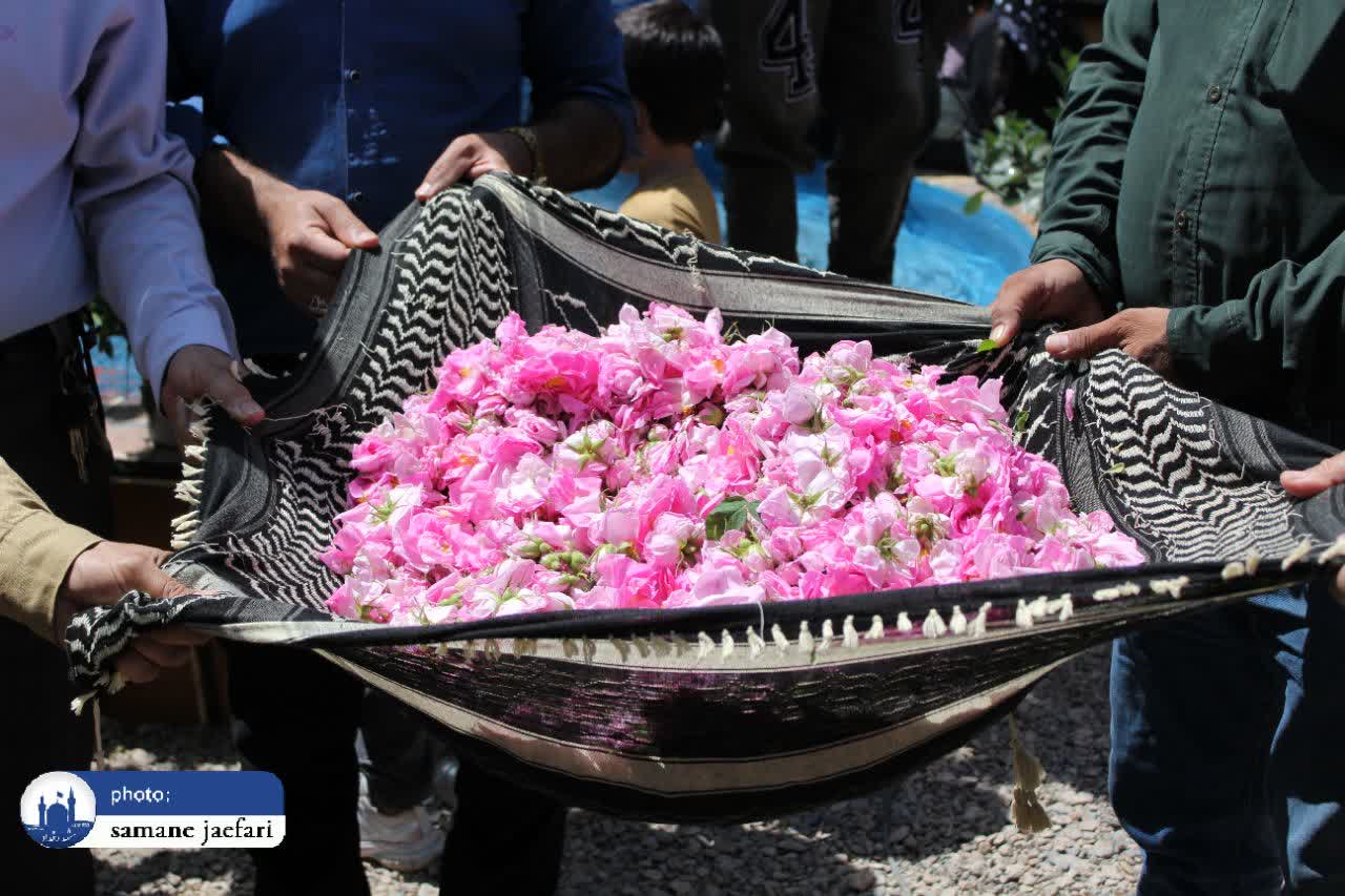 گلابگیری حکیم