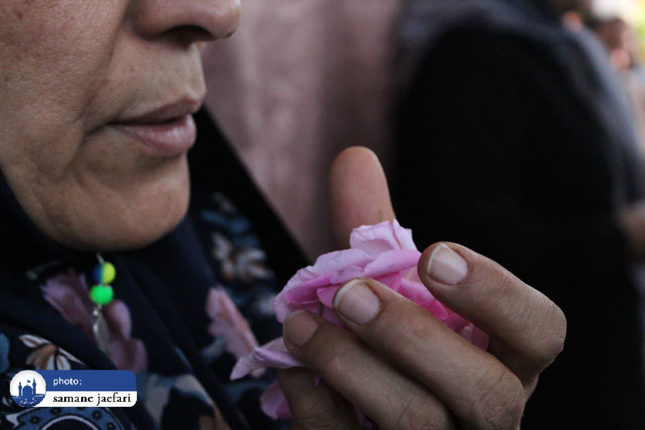 گلابگیری حکیم