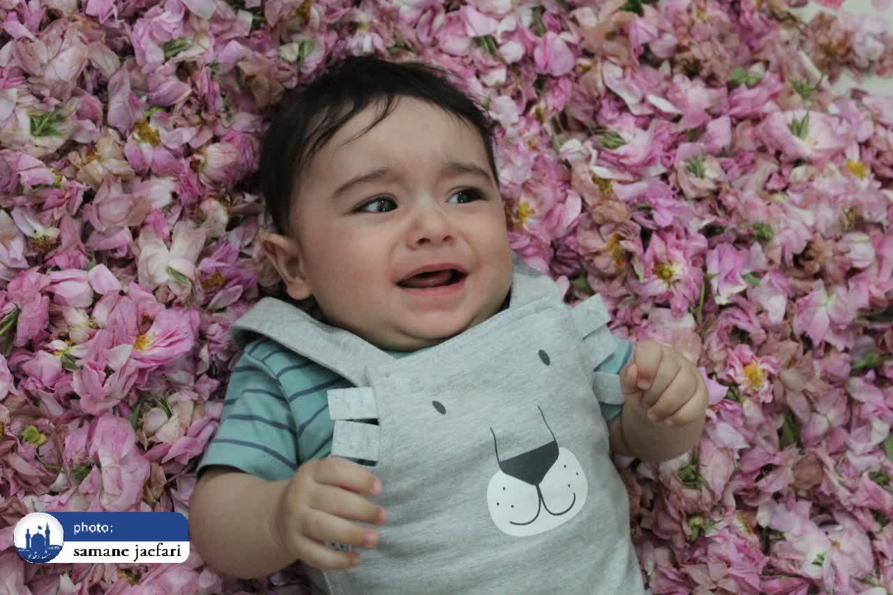 گلابگیری حکیم