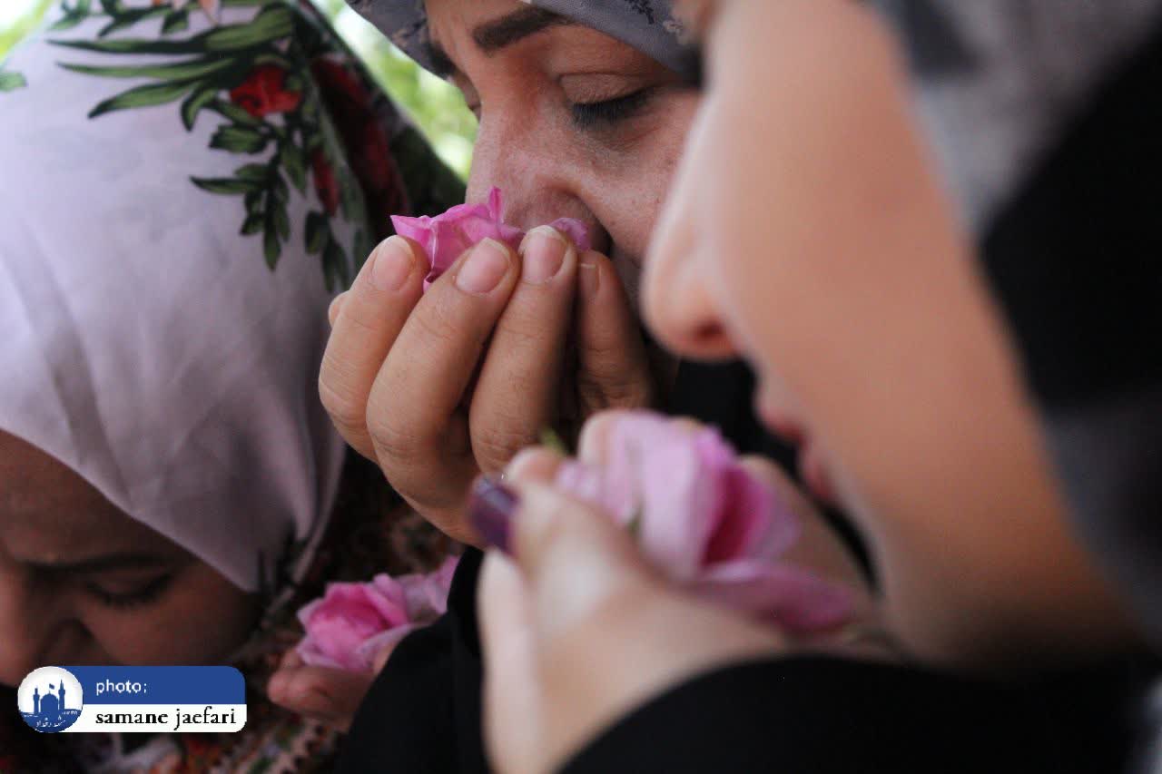 گلابگیری حکیم