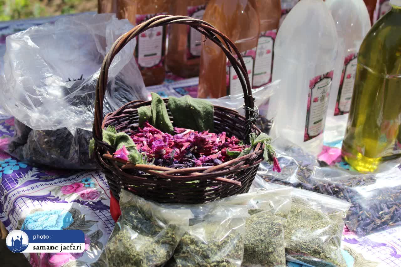 گلابگیری حکیم