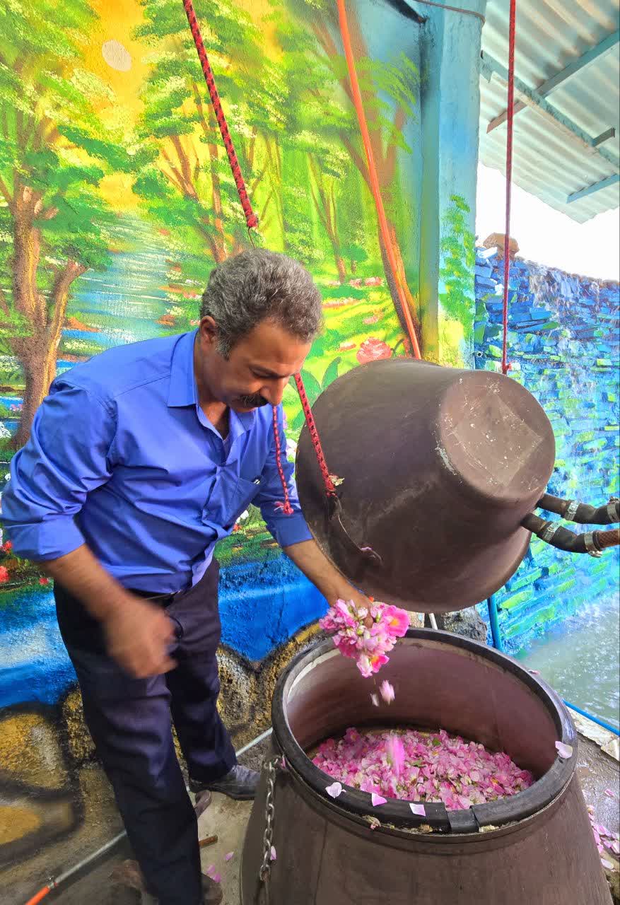 مدیرکارگاه گلابگیری حکیم عنوان کرد:  فرخد ظرفیت تولید ۵۰ درصد گلاب ایران را دارد