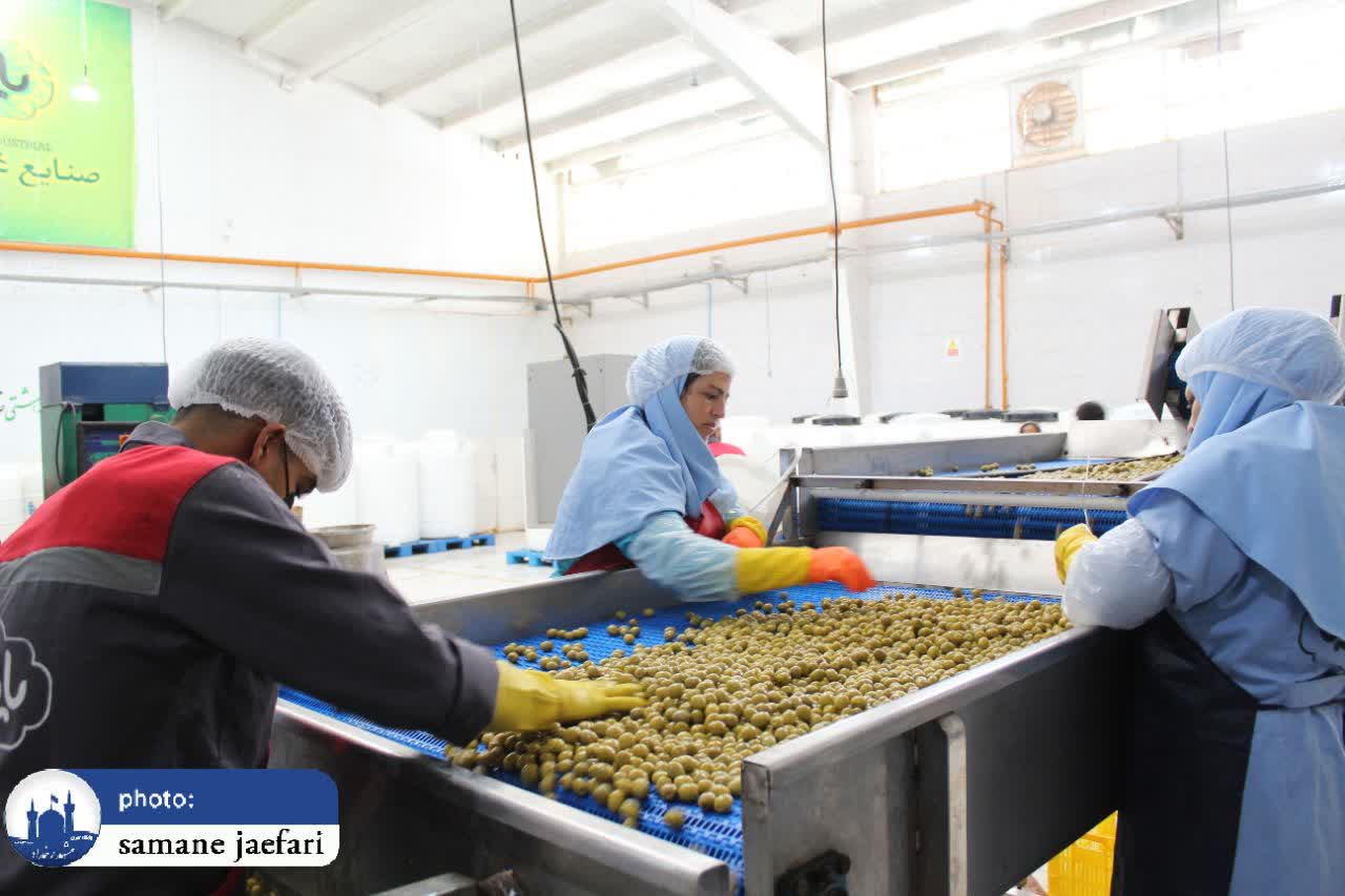 بازدید از سه شرکت صنایع تولیدی تکمیلی و مواد غذایی