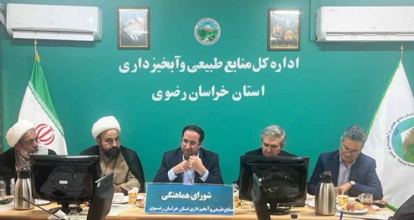 تاکید سرپرست سازمان منابع طبیعی و آبخیزداری کشور بر برنامه‌محوری و مشارکت مردمی در حفاظت از منابع طبیعی