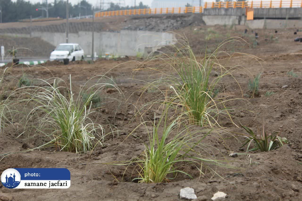 منطقه ۸ مشهد