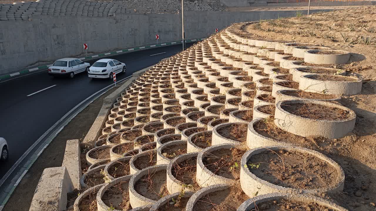 پیشرفت ۶۰ درصدی پروژه احداث فضای سبز در تقاطع غیرهمسطح انقلاب