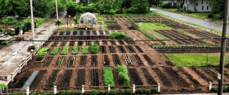 سازمان پارک‌های مشهد در مسیر نوآوری و فناوری