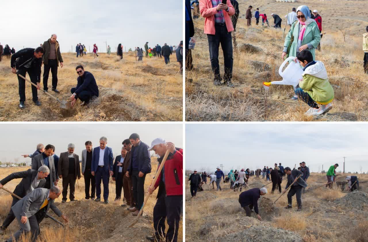 خراسانی ها زیر سایه مادر نهال کاشتند