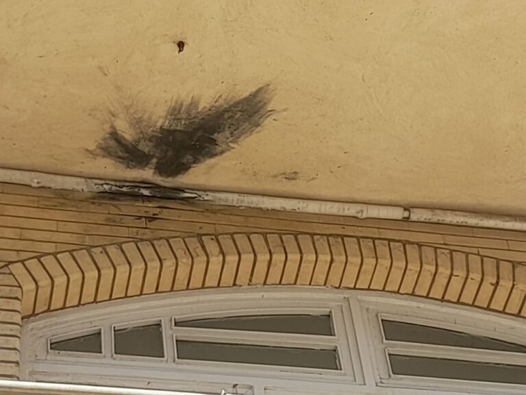 تخریب شعب آبشار عاطفه ها تخریب شعب آبشار عاطفه ها