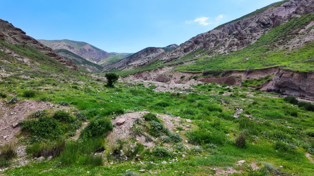 مراتع صدها همت آورده اقتصادی برای استان دارند